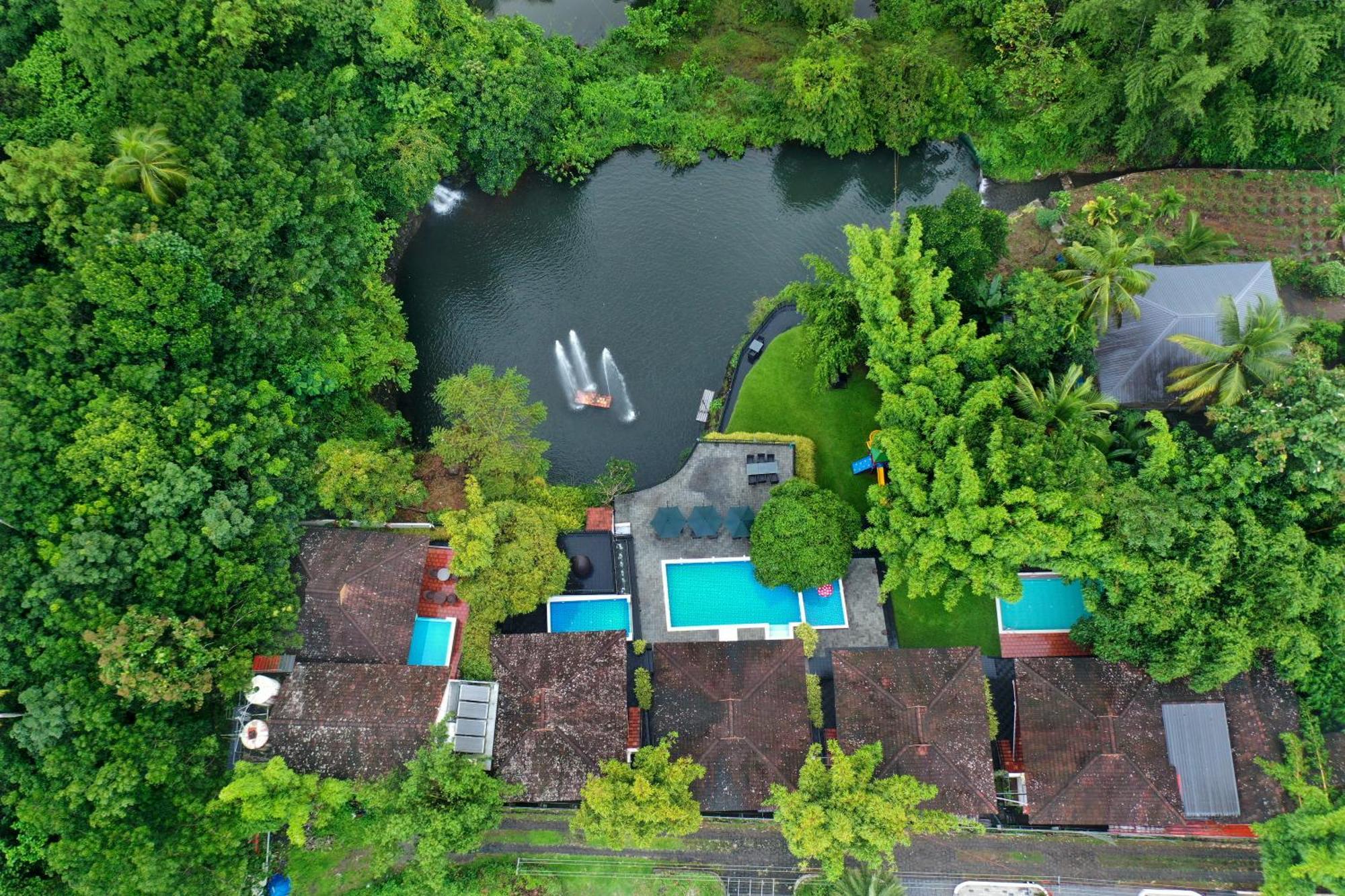 Athirapally Green Trees Athirappilly Buitenkant foto